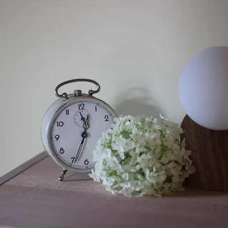 1895 ライプツィヒ