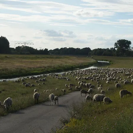 1895 Appartement Leipzig