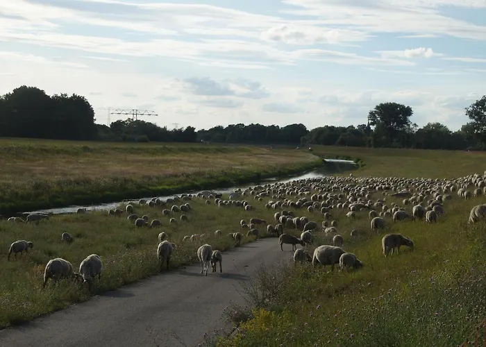 1895 Appartement Leipzig